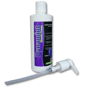 Dynamint Peppermint Massage Cream - 500ml